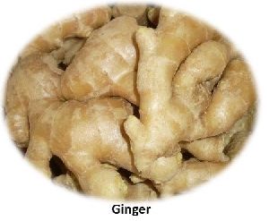fresh ginger