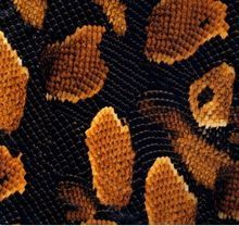 LA005B-2 PVA Water Transfer Printing Films