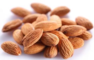 Common Raw Almond Kernels for Food stuff