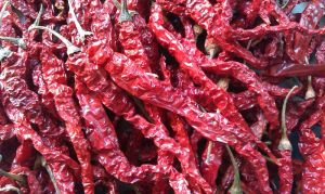 Dried Red Chili,  Storage Instructions : Dry Place