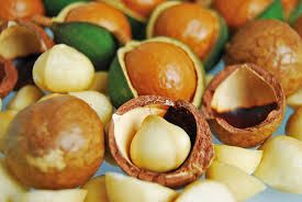 macadamia nuts