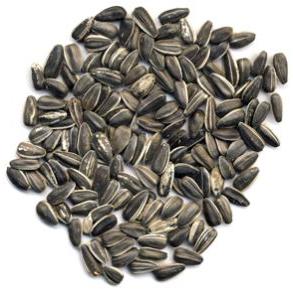 Organic Sunflower Seeds
