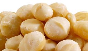 Roasted Macadamia Nuts for Snack