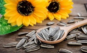 sunflower seeds