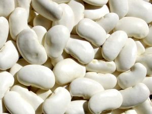 Common white kidney beans, Packaging Type : Bulk