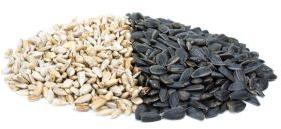 White Sunflower Seeds