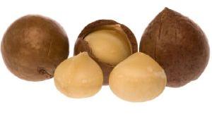 Wholesale Supplier Of Pure Macadamia Nut Oil In USA
