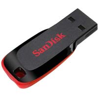 Sandisk Cruzer Blade USB Utility Pendrive 4 GB Multicolor