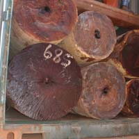 Timber cylinders