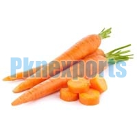 Fresh Carrot