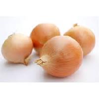 Organic Onion