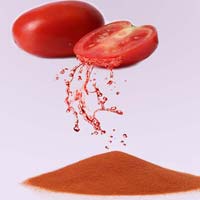 Spray Dried Tomato Powder