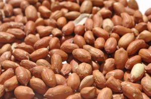 Peanut Kernels