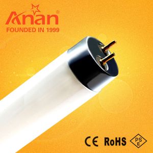 Fluorescent Lamps Fluorescent Lamps
