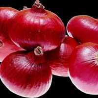 fresh red onion