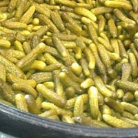 Pickle cucumber exporters in India