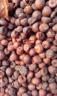 Boiled Betel nut (Rutha)