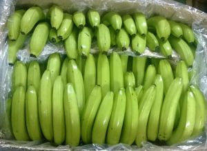Green Fresh Cavendish Banana, Brand Name : Open