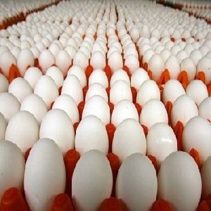 White Table Eggs