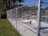 Poultry Chain Link