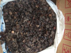 Palm Kernel Shell