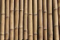 bamboo timber