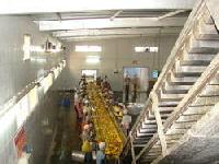 Mango Processing Machinery