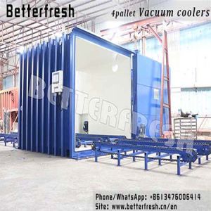 Vacuum Coolers Vegetable Freezer Forced Air Cooling Blast Chillers