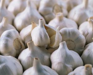 Whole Garlic
