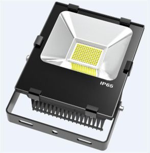 LED Floodlight,  Country of Origin : India