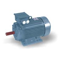 Thresher Electric Motor