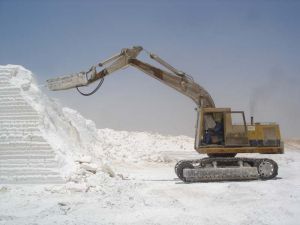 Hydrated Lime,  Packing : Poly Bag