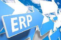 custom erp services