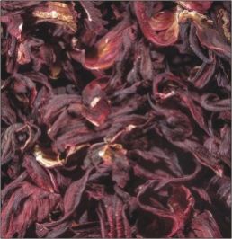 HIBISCOUS FLOWER HIBISCOUS FLOWER