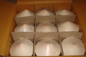 Fresh Drinking Coconut