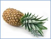 fresh pineapple,  Storage Condition : Natural