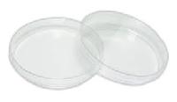 Plastic Petri Dish