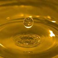 Refined Cottonseed Oil