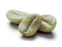 green coffee seeds