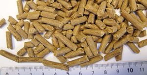 Canary Pellets