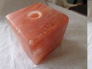 Polished Animal  Salt Licks