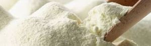 milk powder