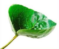 leaf cup