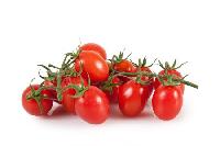 Cherry Tomato