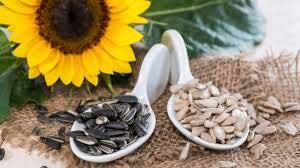 sunflower seeds, Packaging Type : 25kg Bags for Food