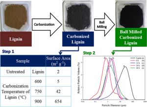 BIO CARBON BLACK BIO CARBON BLACK