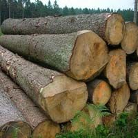 wood logs