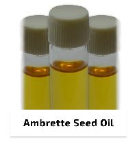 Ambrette Seed Oil supercritical CO2 extract