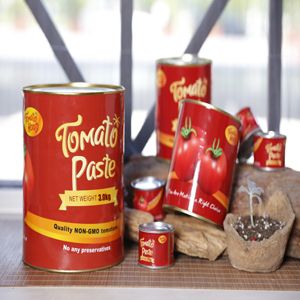 Tomato Paste Cans, Certification : iso, haccp, Packaging Type : tin