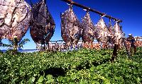 dried fish